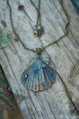 морская раковина - 3