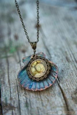 морская раковина - 4