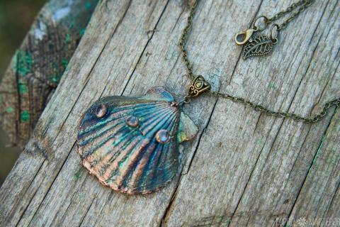 морская раковина - 5