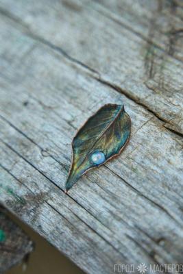 брошь хамелеон