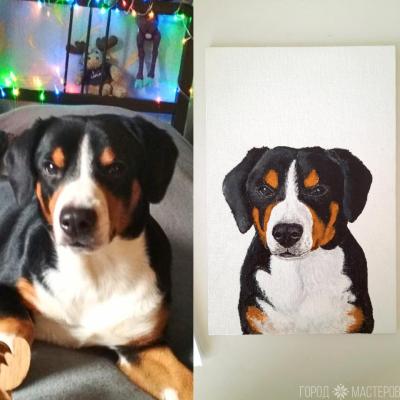 Портрет питомца на заказ - 2