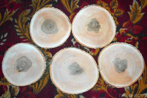 Спил (ясень)