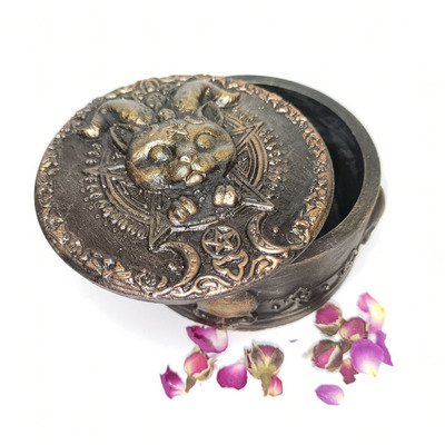 Шкатулка Кот Вампирчик - 2