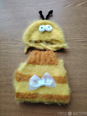 Одежда для животных