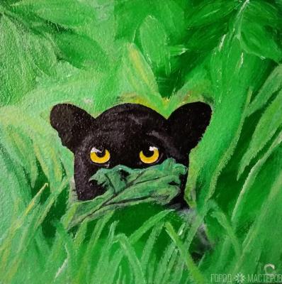 Пума на охоте