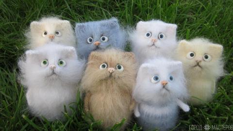 Забавные коты