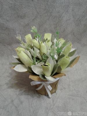 Первоцветы в горшочке - 3