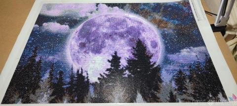 Картина из алмазной мозаики с акриловым покрытием