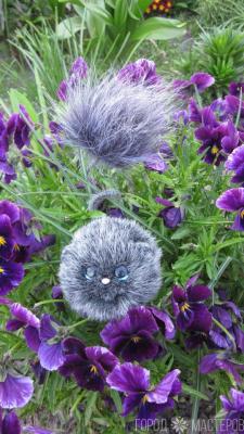 Белоруский тушкан, подвид мексиканского тушкана. - 4