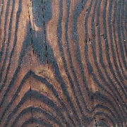 саша снипич